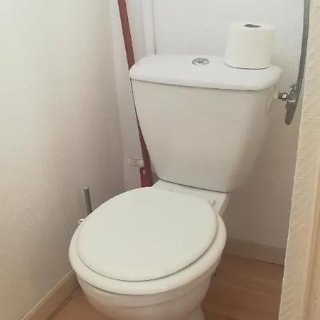 Apartment 55magenta *